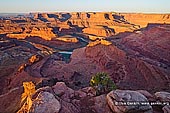 landscapes stock photography | Colorado River and Canyonlands From Dead Horse Point Overlook, Dead Horse Point State Park, Utah, USA, Image ID DEAD-HORSE-POINT-STATE-PARK-UTAH-USA-0002. Early morning view southwest from Dead Horse Point across Colorado River towards Canyonlands National Park from Dead Horse Point Overlook beyond The Gooseneck in the Dead Horse Point State Park, Utah, USA.