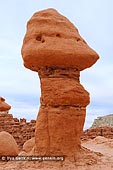 landscapes stock photography | Hoodoo at Goblin Valley, Goblin Valley State Park, Utah, USA, Image ID GOBLIN-VALLEY-STATE-PARK-UTAH-USA-0004. Stock photo of mushroom-shaped sandstone hoodoos at Goblin Valley State Park, Utah, USA