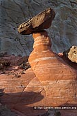 landscapes stock photography | Paria Rimrocks Hoodoos, Grand Staircase-Escalante National Monument, Utah, USA, Image ID US-UTAH-PARIA-RIMROCKS-0002. Stock image of the Paria Rimrocks Hoodoos in Grand Staircase-Escalante National Monument, Utah, USA at sunset. The Toadstools slowly form when boulders of Cretacious Dakota Formation fall downslope onto softer Jurassic Entrada Sandstone, sheltering the soft rock from erosion. The hike to the hoodoo garden is short and easy and can be enjoyed by all members of the family. It is about 1.5 miles round trip, maybe a little bit more if you explore further into the hoodoo garden. The start of the trail is on a sandy wash but soon the soil becomes firmer and easier to walk on. There are some parts of the trail that requires a little bit of scrambling but it's not really difficult. In less than a mile, as you ascend a small hill, you will get your first glimpse of the toadstool hoodoos.