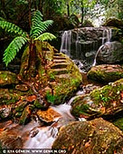 landscapes stock photography | Weeping Rock, Leura, Blue Mountains National Park, New South Wales (NSW), Australia, Image ID AU-NSW-BM-LEURA-WEEPING-ROCK-0001. Weeping Rock in Leura, Blue Mountains National Park is a small and picturesque 3m drop waterfall, located at the base of Leura's Bridal Veil Falls.