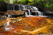 landscapes stock photography | Yosemite Creek, Katoomba, Blue Mountains National Park, NSW, Australia, Image ID AU-NSW-BM-YOSEMITE-CREEK-0002. 