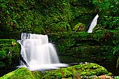 landscapes stock photography | Lower McLean Falls, The Catlins, South Island, New Zealand, Image ID NZ-MCLEAN-FALLS-0002. A picture of the magnificent lower McLean Falls decorating the landscape of the Catlins, along the Southern Scenic Route on the South Island of New Zealand. It's hidden in a small and narrow mossy gorge just few meters off the track to the main McLean Falls.