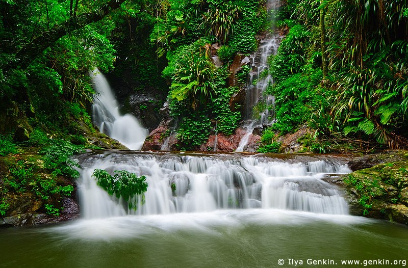 Elabana Falls, Lamington National Park, QLD, Australia