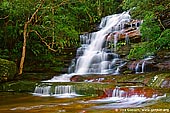 landscapes stock photography | Upper Somersby Falls, Brisbane Water National Park, Central Coast, NSW, Australia, Image ID SOMERSBY-FALLS-NSW-AU-0004. 