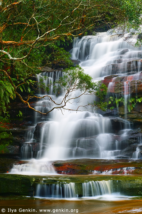 Upper Somersby Falls, Brisbane Water National Park, Central Coast, NSW, Australia