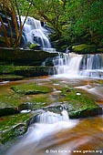 landscapes stock photography | Lower Somersby Falls, Brisbane Water National Park, Central Coast, NSW, Australia, Image ID SOMERSBY-FALLS-NSW-AU-0007. Lower Somersby Falls are a beautiful roadside waterfall situated in a beautiful rainforest situated near Gosford in Brisbale Water National Park on the Central Coast of New South Wales. The Somersby Falls would make a beautiful waterfall poster picture.