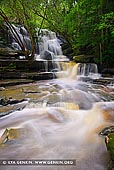 landscapes stock photography | Lower Somersby Falls after Rain, Brisbane Water National Park, Central Coast, NSW, Australia, Image ID SOMERSBY-FALLS-NSW-AU-0008. Recent ex-tropical cyclone Oswald brought a lot of rain to New South Wales, Australia. Enough to flood revers and waterfalls, including beautiful Somersby Falls that is situated in a rainforest near Gosford in Brisbale Water National Park on the Central Coast.