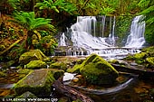 landscapes stock photography | Horseshoe Falls, Mount Field National Park, Tasmania (TAS), Australia, Image ID TAS-HORSESHOE-FALLS-0001. Particularly beautiful Horseshoe Falls are located only 300 metres beyond the top of Russell Falls in Mount Field National Park, Tasmania (TAS), Australia.