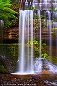 landscapes stock photography | Russell Falls, Mount Field National Park, Tasmania (TAS), Australia, Image ID TAS-RUSSELL-FALLS-0002. Russell Falls is likely the most-visited attraction in Mount Field National Park, and one of Tasmania's best-known waterfalls. Its three elegant tiers, framed by lush vegetation, have attracted visitors for well over a hundred years. The falls are about fifty meters tall and fairly wide as well, with cords of water stumbling down an open rock face. In 1885 Russell Falls became Tasmania's first nature reserve, while Mount Field was declared a national park in 1916.