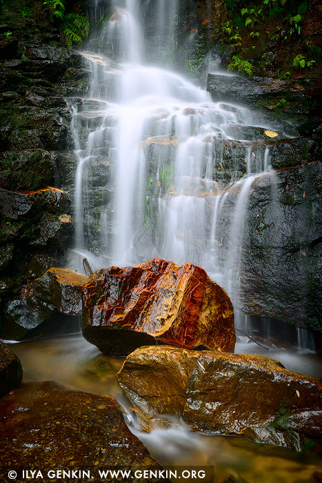 Weeping Rock, Valley of the Waters, Wentworth Falls, Blue Mountains, NSW, Australia