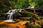 landscapes stock photography | Leura Cascades, Leura, Blue Mountains National Park, New South Wales (NSW), Australia, Image ID AU-LEURA-CASCADES-0001. Leura Cascades is one of the most scenic spots in the Blue Mountains, and one place on the Explorer Bus that all of our guests rave about. A well-maintained track leads you down through a narrow valley shaded by tall tree ferns, with the sound of falling water following you every step of the way. Leura Cascades walk takes around thirty minutes but of course it is easy to get lost in it all and spend a few hours listening to the magnificent falls, smelling nature and appreciating the serenity of the walk. The cascades are at their most dramatic during and just after heavy rain. At these times water collects in pools along the track - so leave your good shoes at home and prepare to get wet!