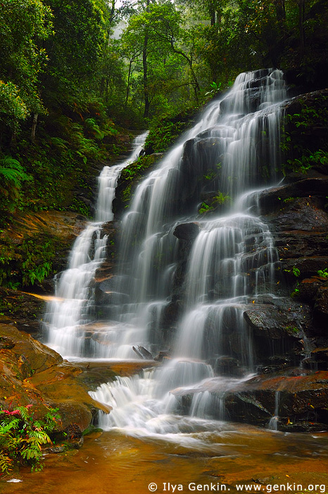 Sylvia Falls, Valley of the Waters, Wentworth Falls, Blue Mountains, NSW, Australia