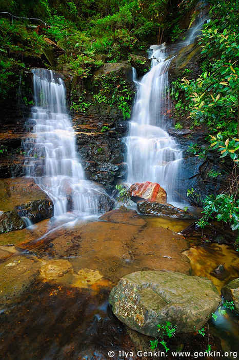 Lodore Falls, Valley of the Waters, Wentworth Falls, Blue Mountains, NSW, Australia