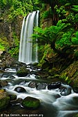 landscapes stock photography | Hopetoun Falls, Great Otway National Park, VIC, Australia, Image ID VIC-HOPETOUN-FALLS-0001. Located on the Aire Valley Road just past Beech Forest, Hopetoun Falls is one of the Otways must see waterfalls. A viewing platform allows you to view the falls from the carpark area. A short walk down the gully and along the boardwalk takes you to the base of the falls. After the falls if you continue to drive down the Aire Valley Road, you will come to a selection of magnificent Californian Redwoods. Just over 70 yrs old, these trees need to be seen to be believed.