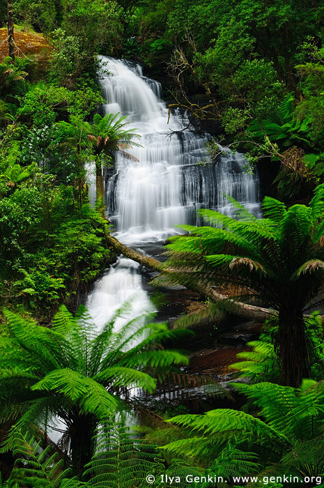 landscapes stock photography | Triplet Falls, Great Otway National Park, VIC, Australia, Image ID VIC-TRIPLET-FALLS-0001