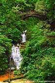 landscapes stock photography | Waterfall and Latent Celestial Bridge, Tianzi Mountain Nature Reserve, Zhangjiajie National Forest Park, China, Image ID CHINA-ZHANGJIAJIE-WULINGYUAN-0001. 