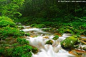 landscapes stock photography | Golden Whip Stream, Wulingyuan National Park, Zhangjiajie National Forest Park, China, Image ID CHINA-ZHANGJIAJIE-WULINGYUAN-0002. 