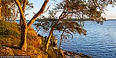 Sunset at Lake Macquarie - Fine art print of Wangi Wangi, Lake Macquarie, NSW, Australia - Beautiful sunset scenery Lake Macquarie, NSW, Australia. A coastline of rocky outcrops and beautiful sandy beaches line the shores of the Australia's largest coastal salt water lagoon, Lake Macquarie, located in the Hunter Region of New South Wales. Gum trees on the shore of the lake are highlighted by the fading light at sunset. This beach area is great for relaxing and enjoying the beautiful summer days while evenings bring in an array of hues across the sky at sunset. The hopes of another beautiful day looks promising after a clear evening such as this. - Image ID: AU-LAKE-MACQUARIE-0004