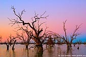 landscapes stock photography | Lake Pamamaroo at Dusk, Kinchega National Park, NSW, Australia, Image ID AU-LAKE-PAMAMAROO-0001. 