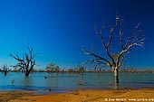 landscapes stock photography | Lake Pamamaroo, Kinchega National Park, NSW, Australia, Image ID AU-LAKE-PAMAMAROO-0004. 