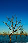 landscapes stock photography | Lake Pamamaroo, Kinchega National Park, NSW, Australia, Image ID AU-LAKE-PAMAMAROO-0005. 