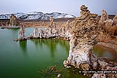 landscapes stock photography | Lake Mono and Tufa Formations, Mono Lake Tufa State Reserve, Eastern Sierra, Mono County, California, USA, Image ID USA-LAKE-MONO-0003. Located near the small town of Lee Vining, California, in the Eastern Sierra, Mono Lake is one of the oldest lakes in North America. It is one of the top tourist destinations in the state and has been a source of political battle as the tributaries flowing into Mono Lake have been diverted to Los Angeles. On September 28, 1994, California Supreme Court ordered that this diversion be limited to restore the Mono Lake's water level to maintain a healthy waterfowl habitat.