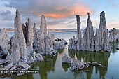 landscapes stock photography | Lake Mono at Dawn, Mono Lake Tufa State Reserve, Eastern Sierra, Mono County, California, USA, Image ID USA-LAKE-MONO-0005. Eastern California's dramatic landscapes don't end at the Sierra Nevada mountain range as anyone who's visited Mono Lake will attest. Whether approaching on a road trip along US395 or descending the snaking highway from Tioga Pass and Yosemite National Park, the unique sights of Mono Lake are unmistakable and incredibly picturesque.