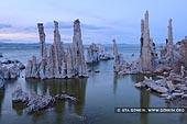 landscapes stock photography | Evening at Lake Mono, Mono Lake Tufa State Reserve, Eastern Sierra, Mono County, California, USA, Image ID USA-LAKE-MONO-0007. Stock image of the Mono Lake in California when the sun setting behind the Sierra Nevada Mountains mountains.