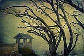 portfolio stock photography | Lookout at The Horn, Mount Buffalo, Victoria, Australia, Image ID INSTA-STYLE-0003. 