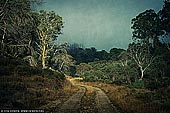 portfolio stock photography | Rural Road, Mount Buffalo, Victoria, Australia, Image ID INSTA-STYLE-0004. 
