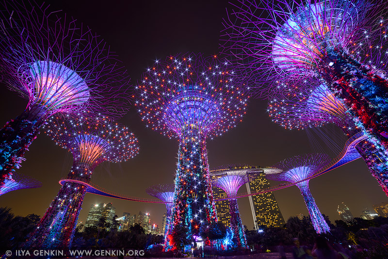 singapore stock photography | Supertree Grove at Night, Gardens by the Bay, Singapore, Image ID SINGAPORE-0003