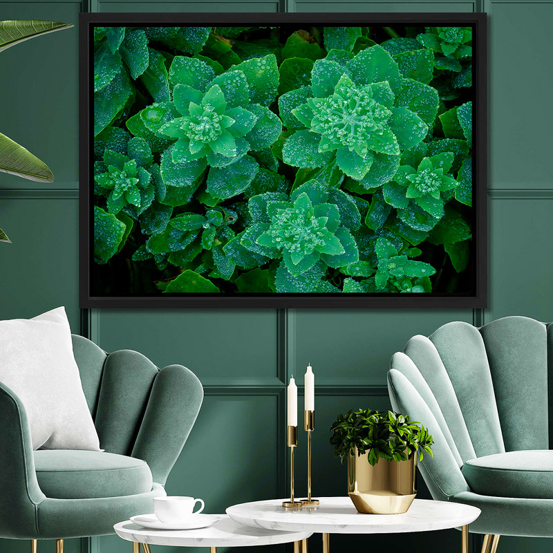 Luxury Dining Room With Botanical Wall Art