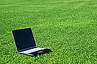 Laptop on the Green Grass